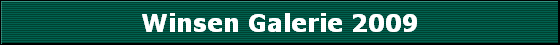 Winsen Galerie 2009